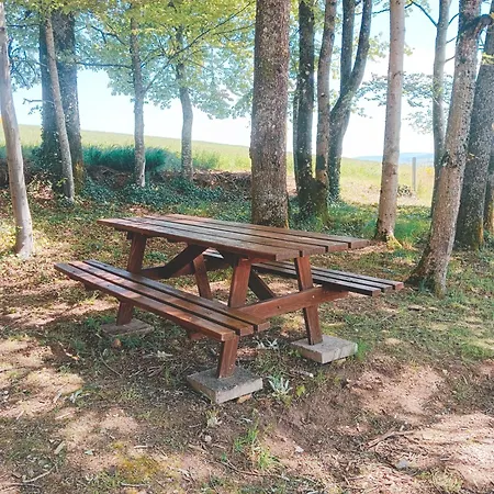 Chalet Ideal 4-8 Pers Avec Garage 20 Mn Gerardmer Vienville Exterior photo