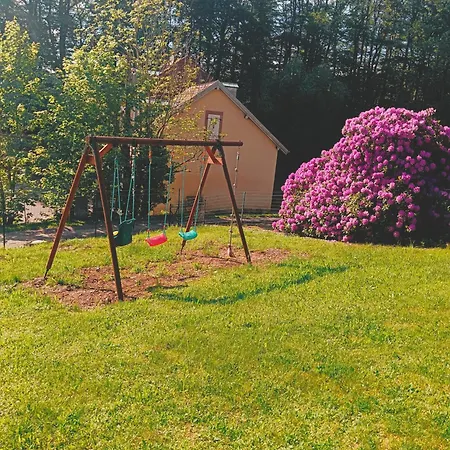 Chalet Ideal 4-8 Pers Avec Garage 20 Mn Gerardmer Vienville Exterior photo