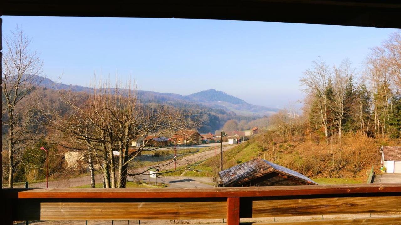 Ideal 4-8 Pers Avec Garage 20 Mn Gerardmer Chalet Vienville