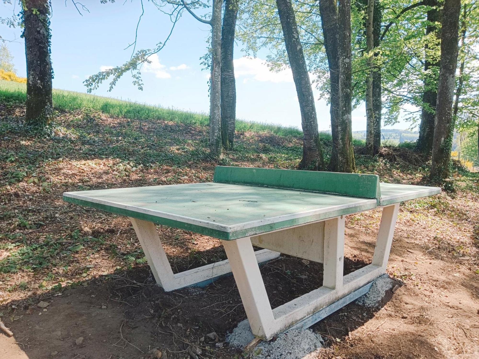 Ideal 4-8 Pers Avec Garage 20 Mn Gerardmer Vienville