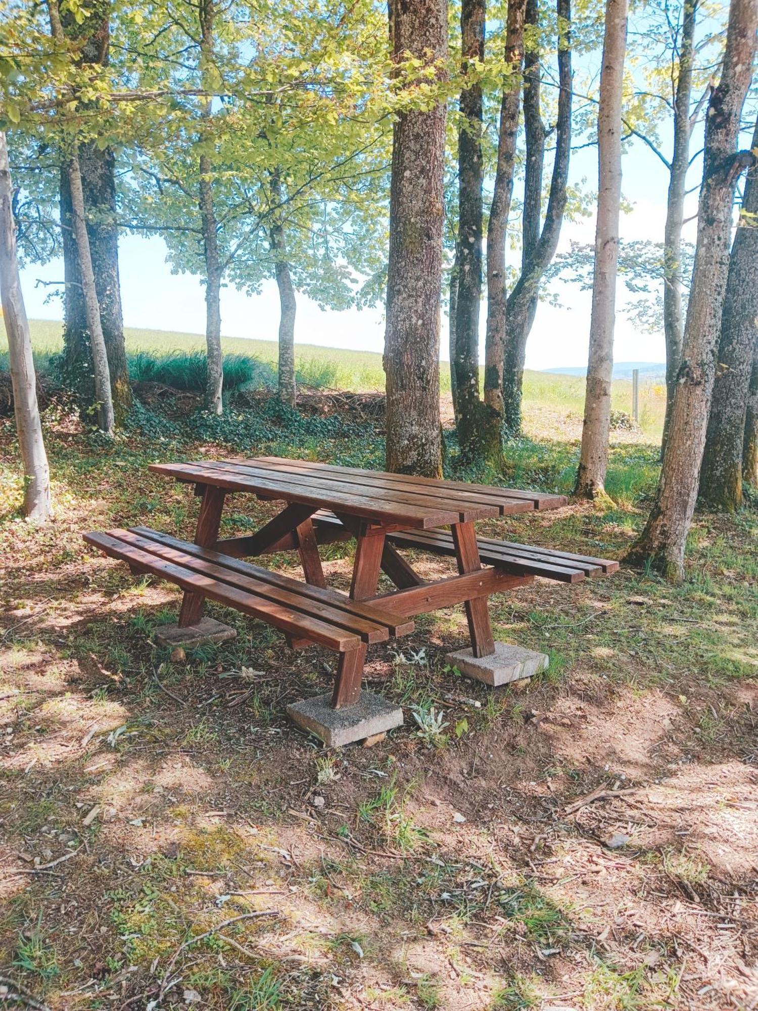 Chalet Ideal 4-8 Pers Avec Garage 20 Mn Gerardmer
