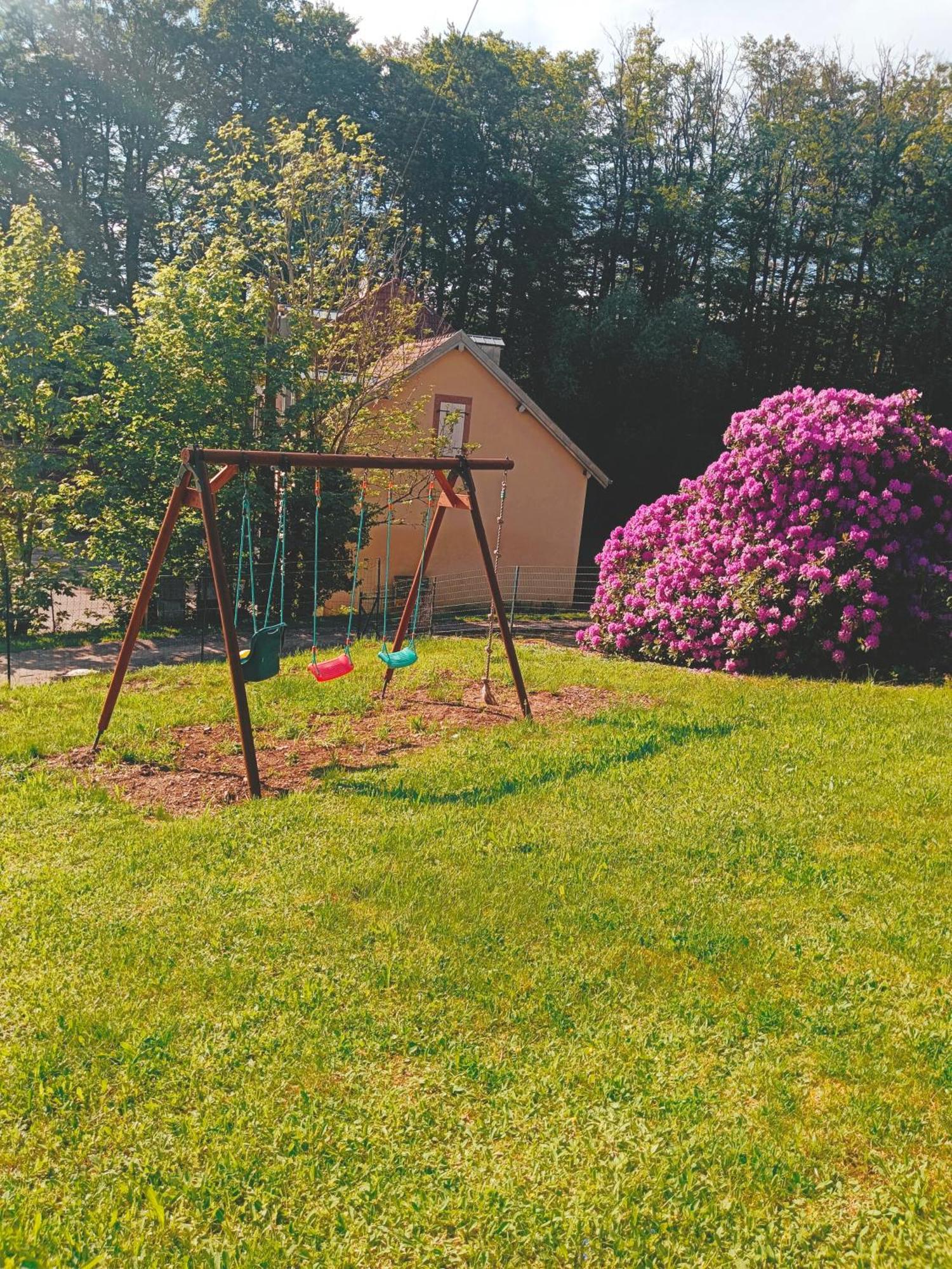 Ideal 4-8 Pers Avec Garage 20 Mn Gerardmer Chalet *